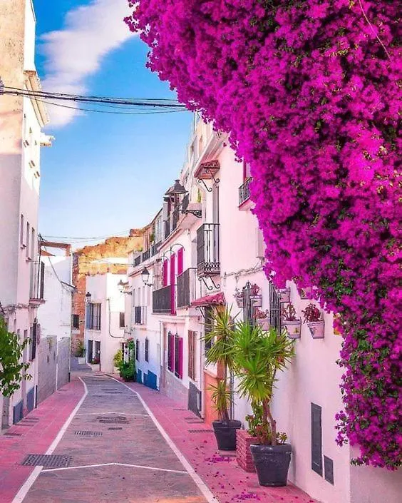 Casa De Frida Apartment Marbella 0*,  Spain